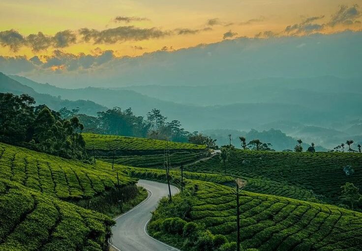 6 Things People Get Wrong About Munnar Before They Go