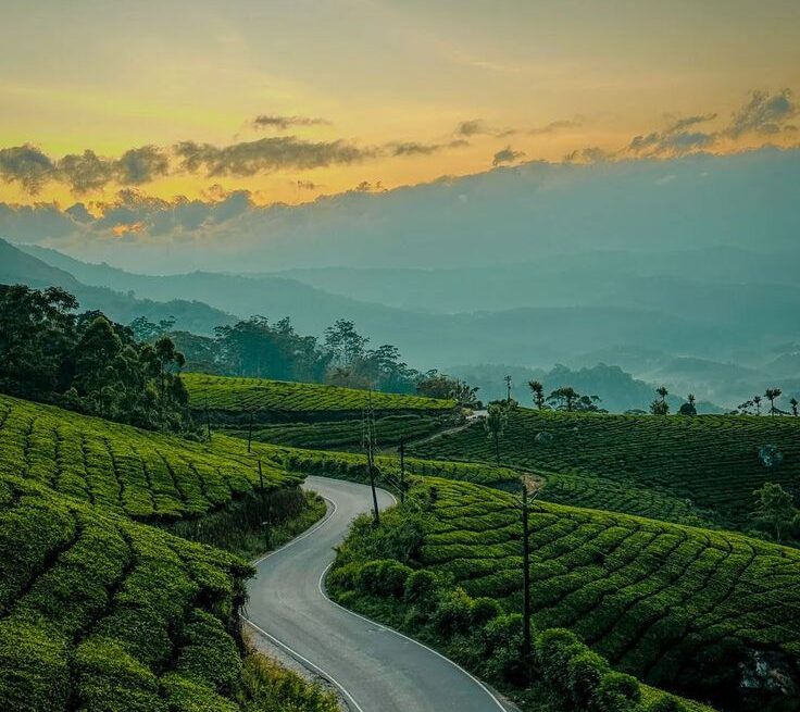 Munnar trip from Pune tea garden hills