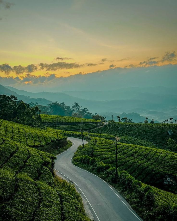 Munnar trip from Pune tea garden hills
